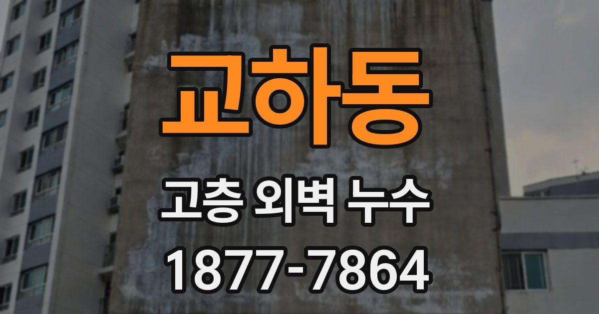 교하동 고층 외벽 누수