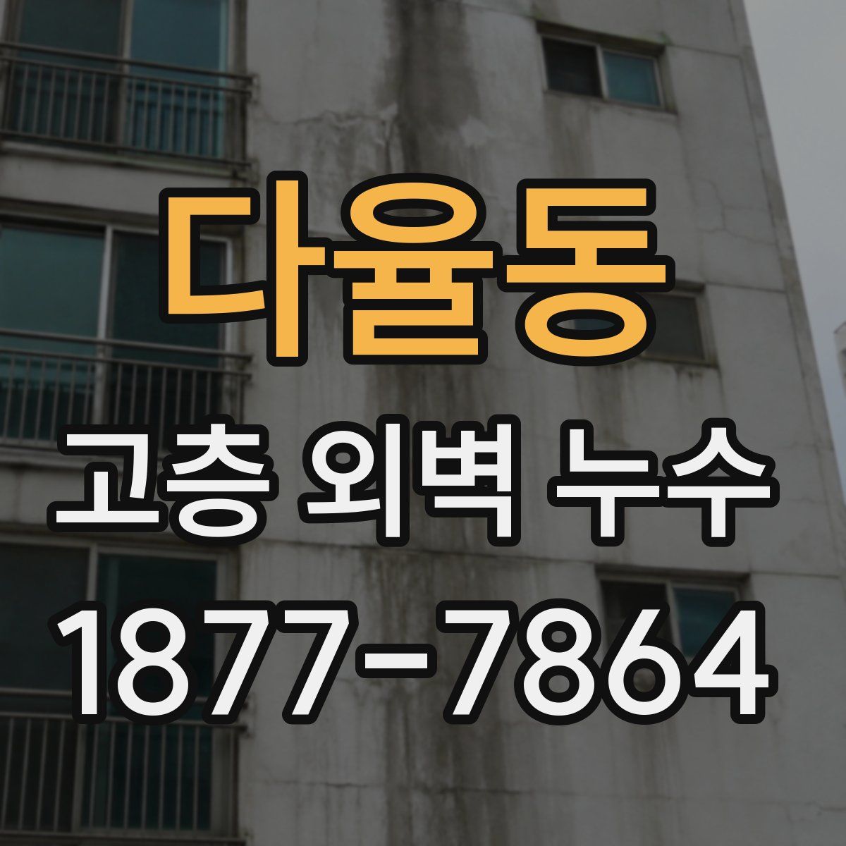 다율동 고층 외벽 누수