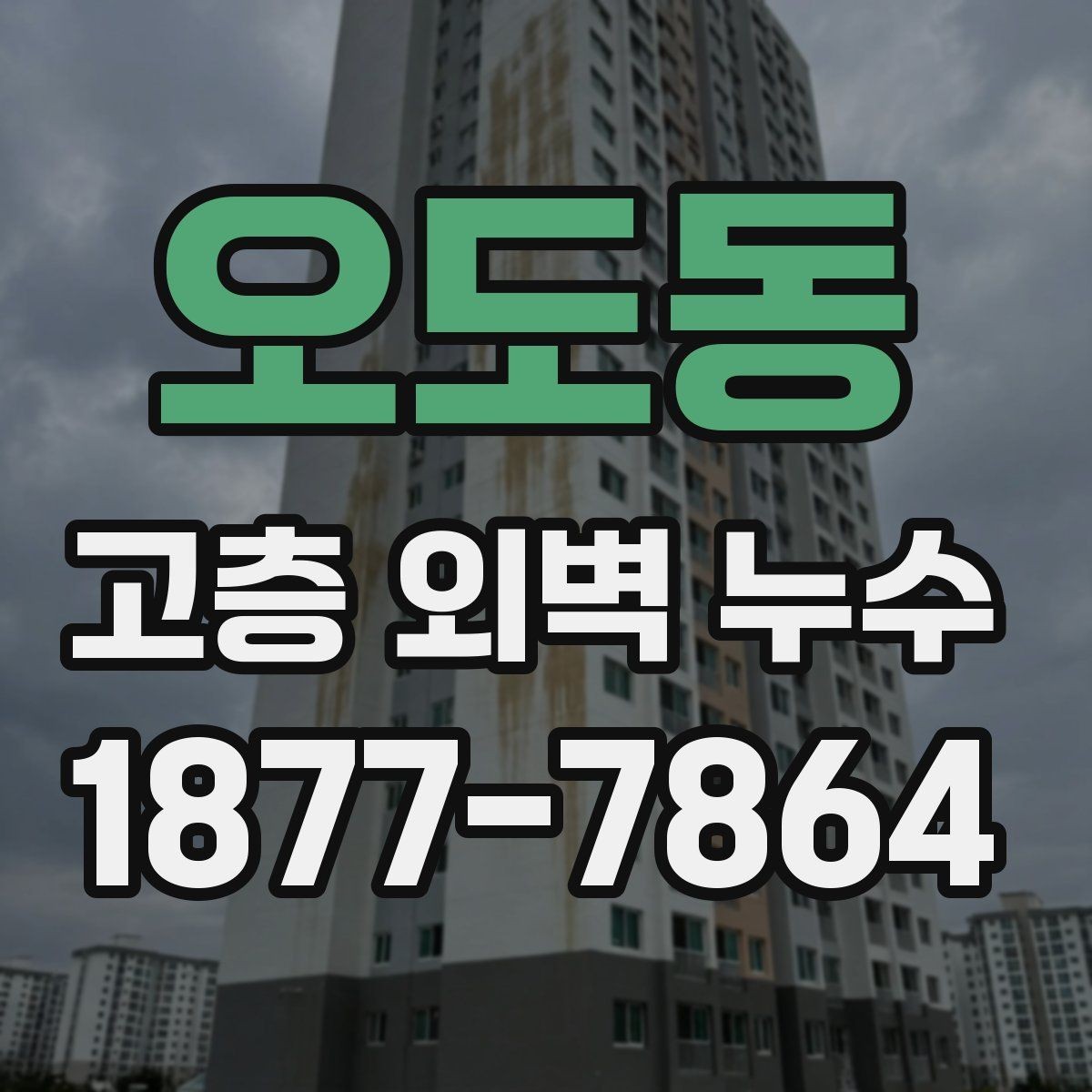 오도동 고층 외벽 누수 원인과 확인 순서