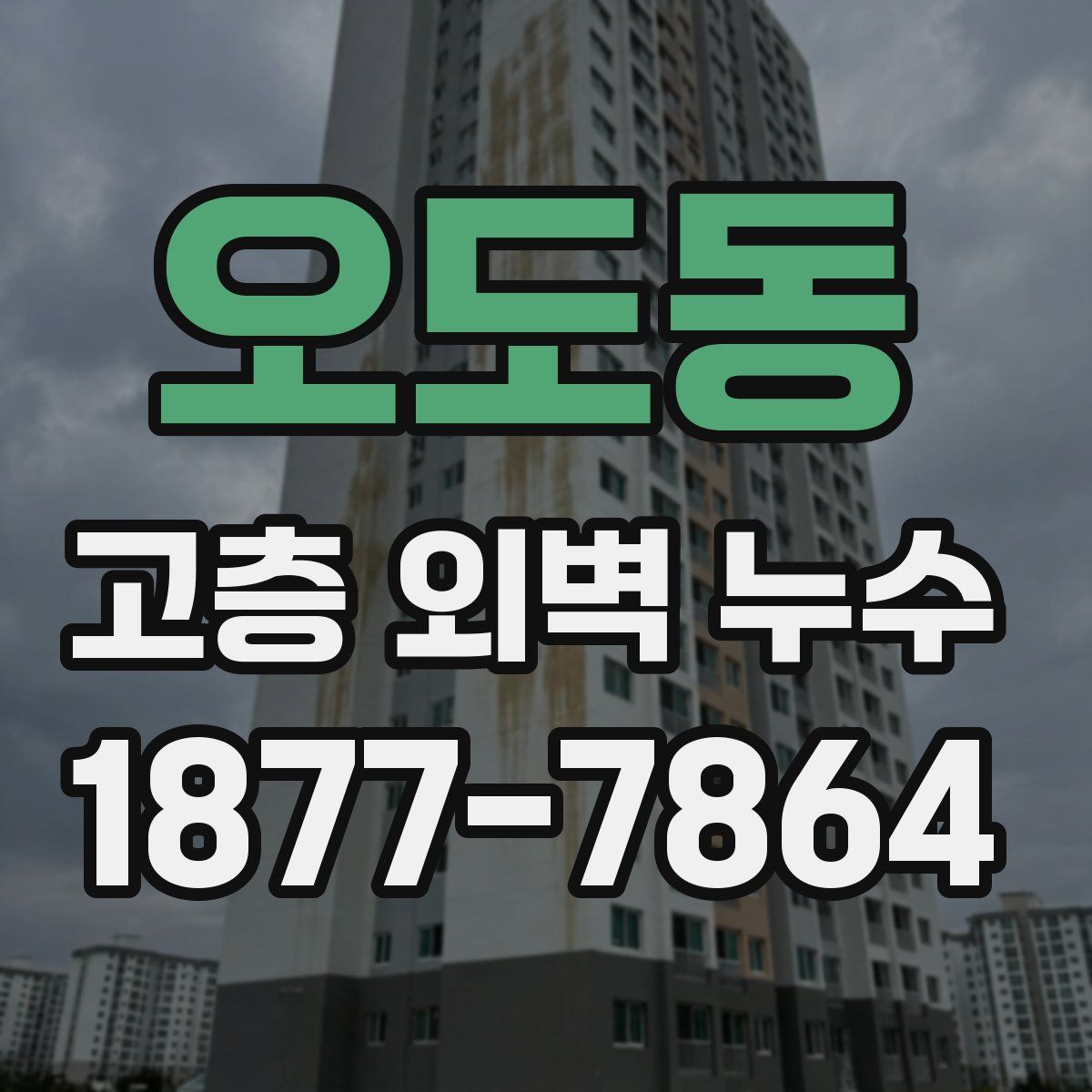 오도동 고층 외벽 누수