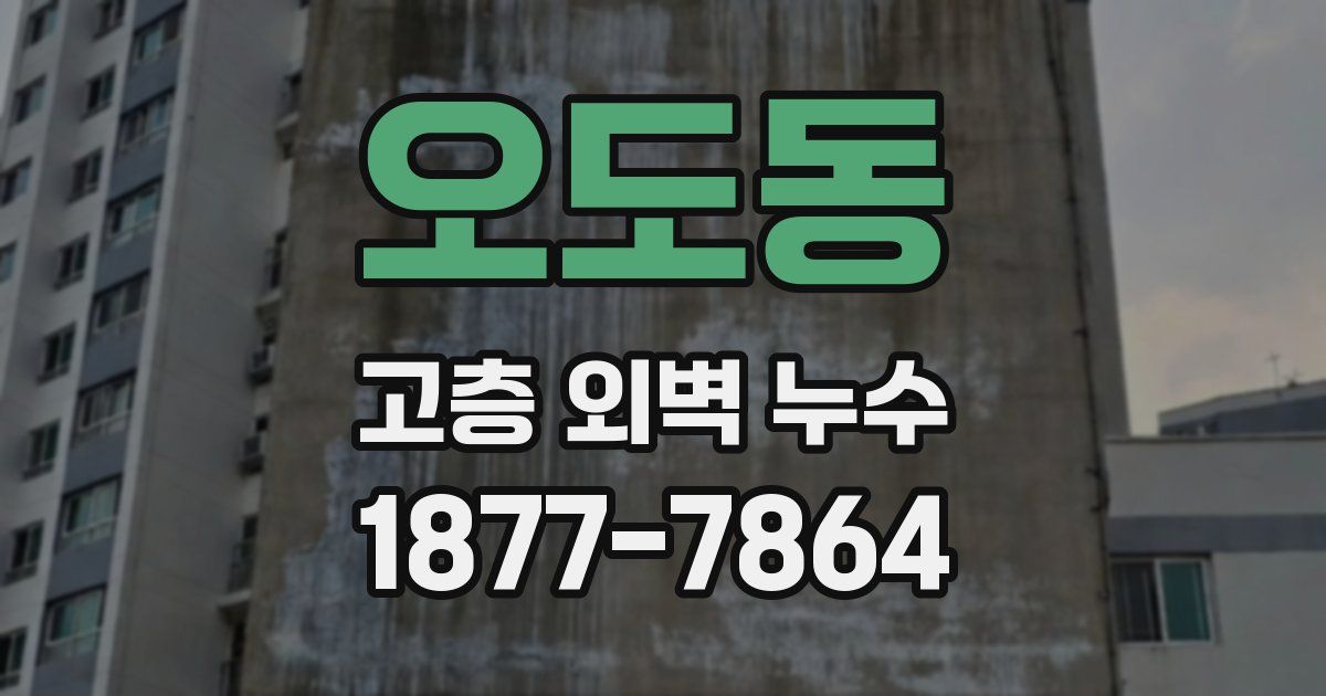오도동 고층 외벽 누수