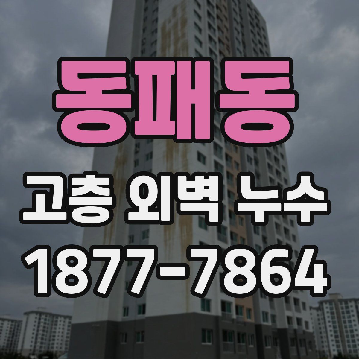 동패동 고층 외벽 누수