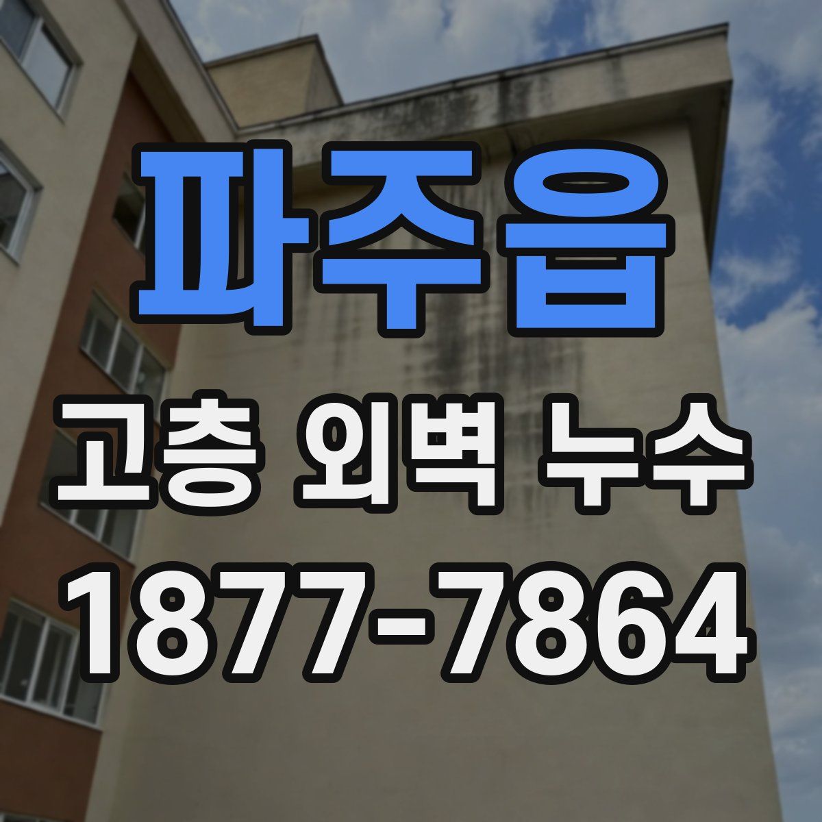 파주읍 고층 외벽 누수