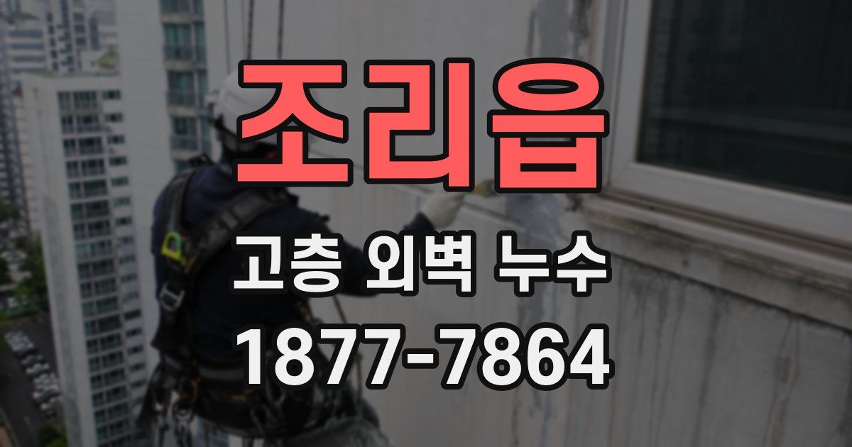 조리읍 고층 외벽 누수