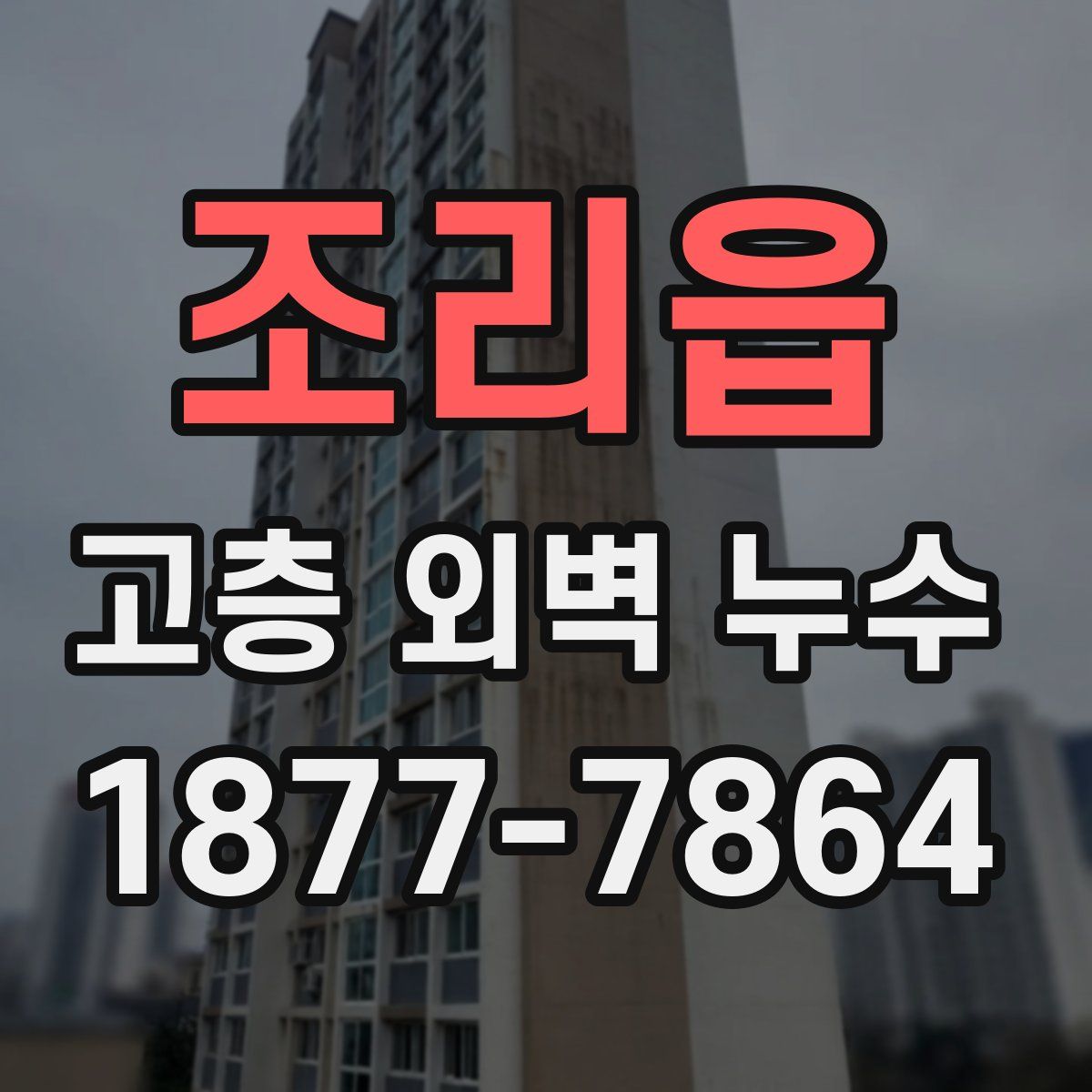 조리읍 고층 외벽 누수