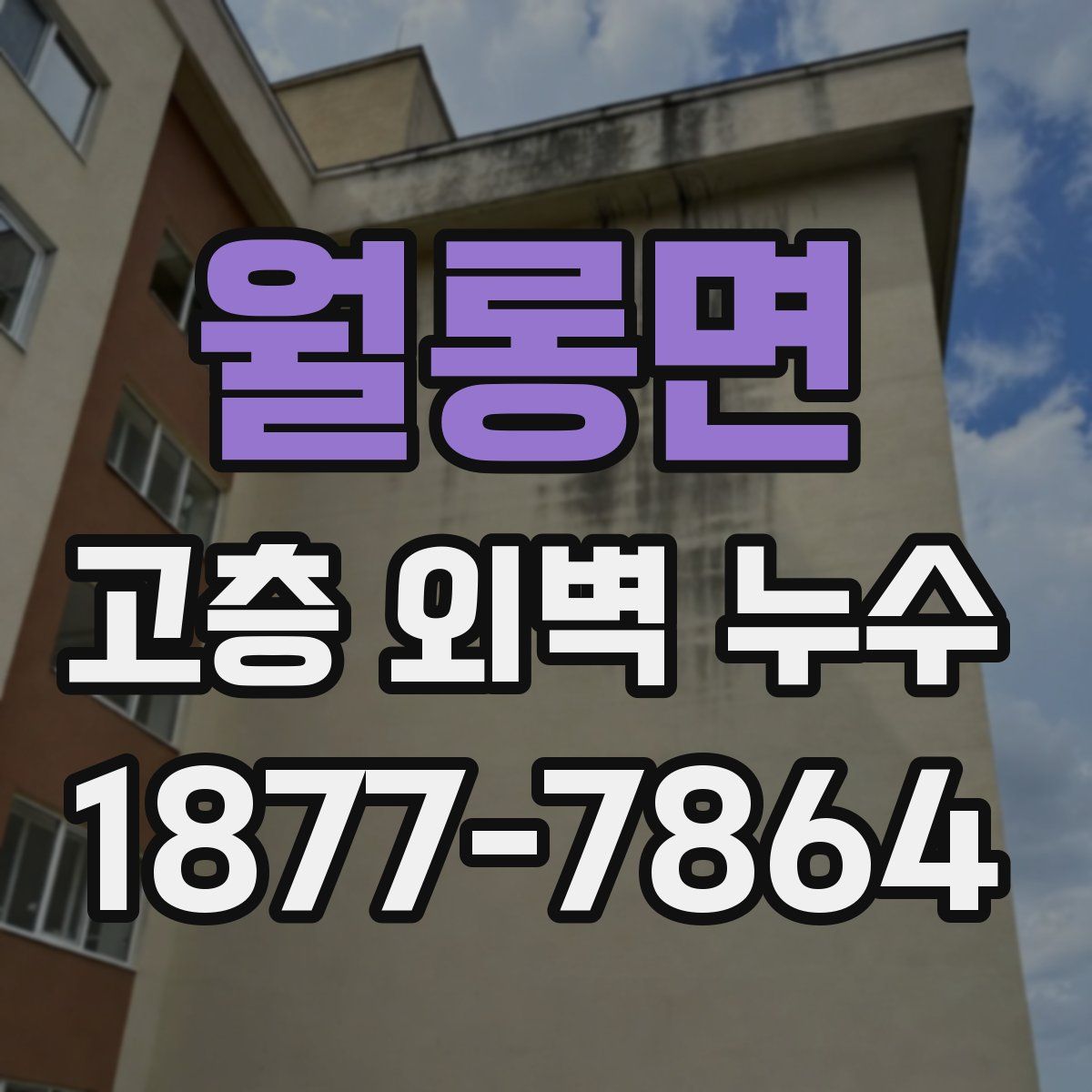 월롱면 고층 외벽 누수