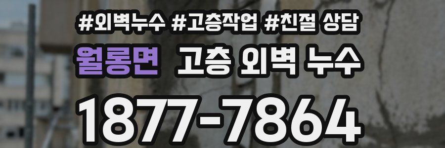 월롱면 고층 외벽 누수
