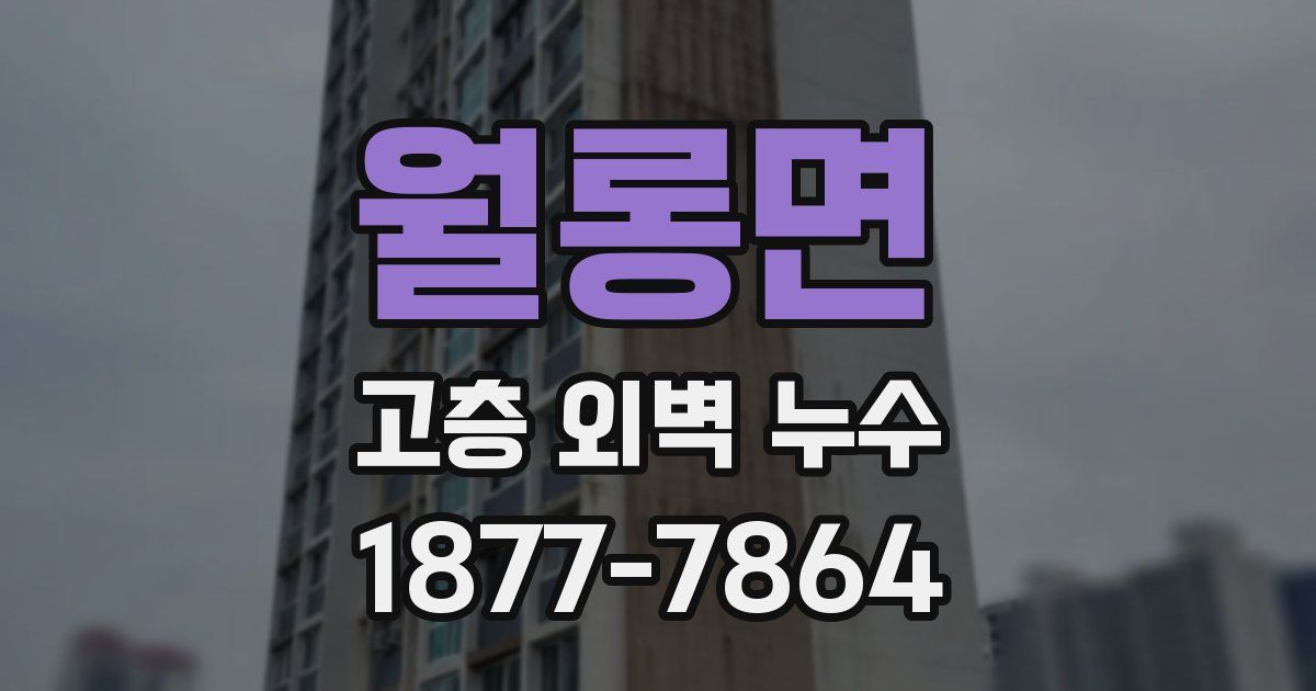 월롱면 고층 외벽 누수