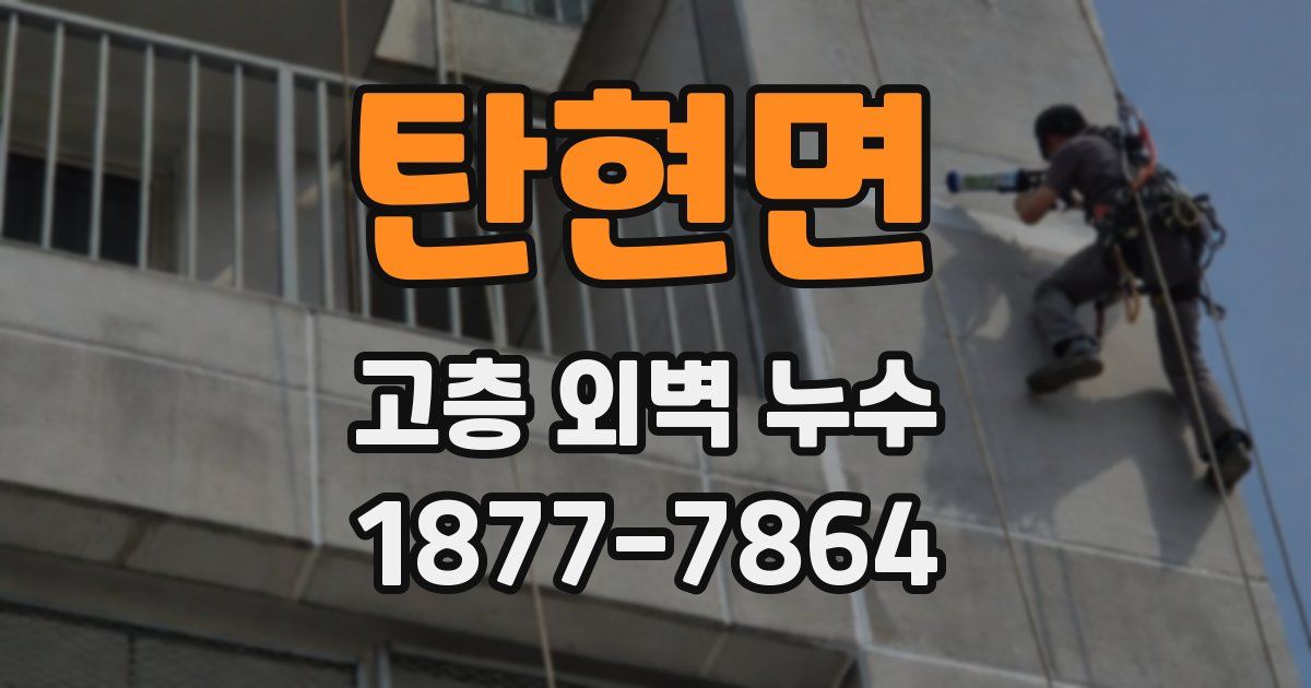 탄현면 고층 외벽 누수