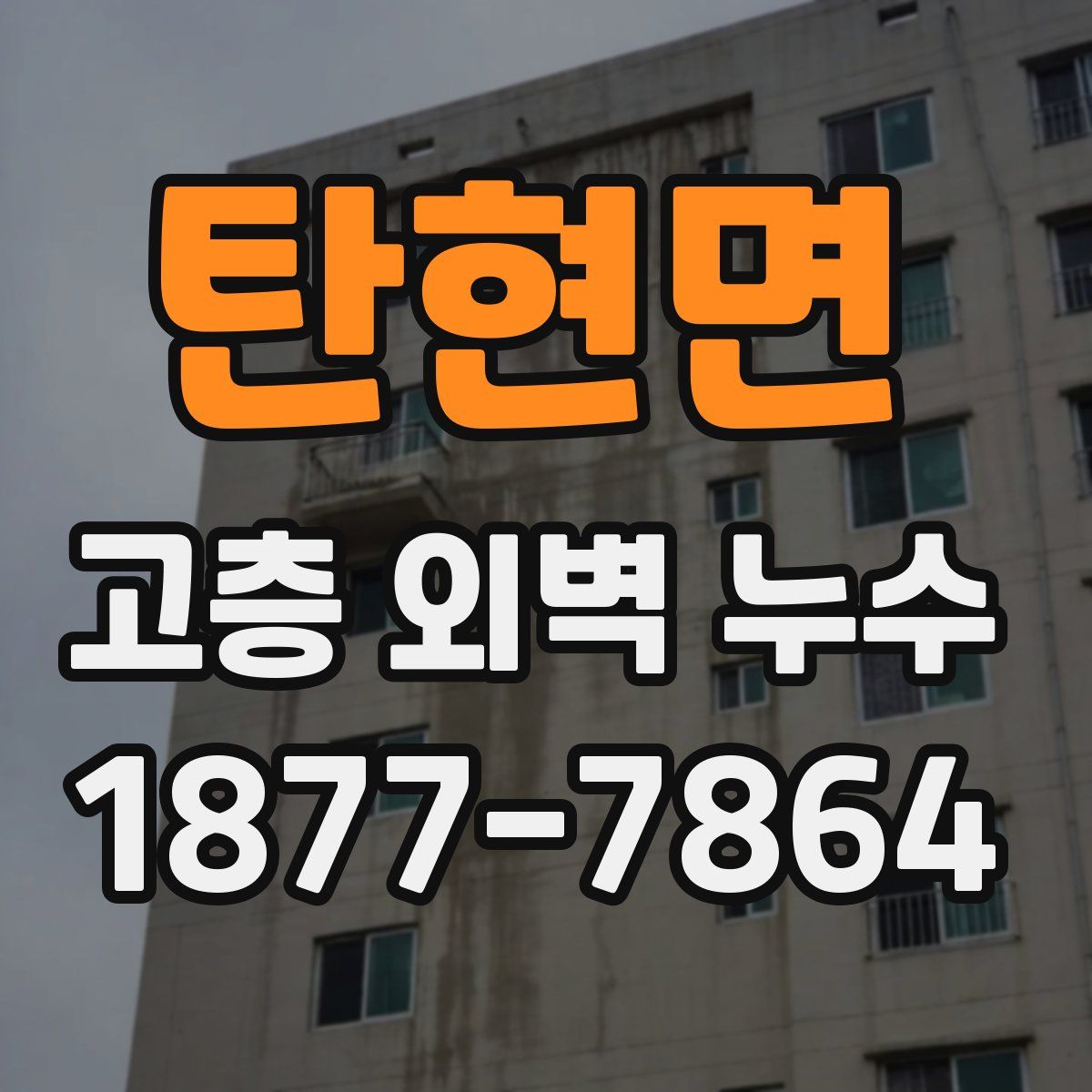 탄현면 고층 외벽 누수