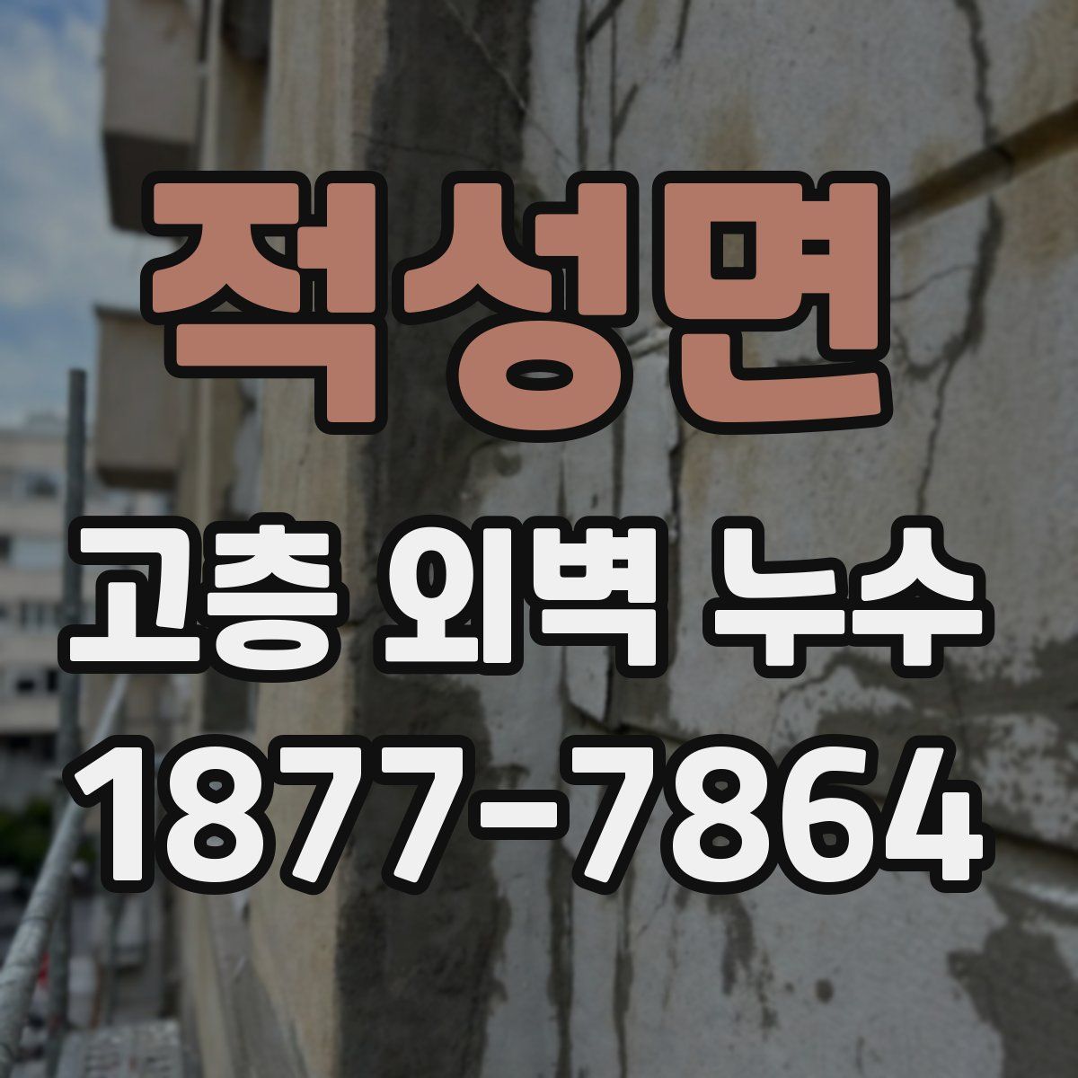 적성면 고층 외벽 누수