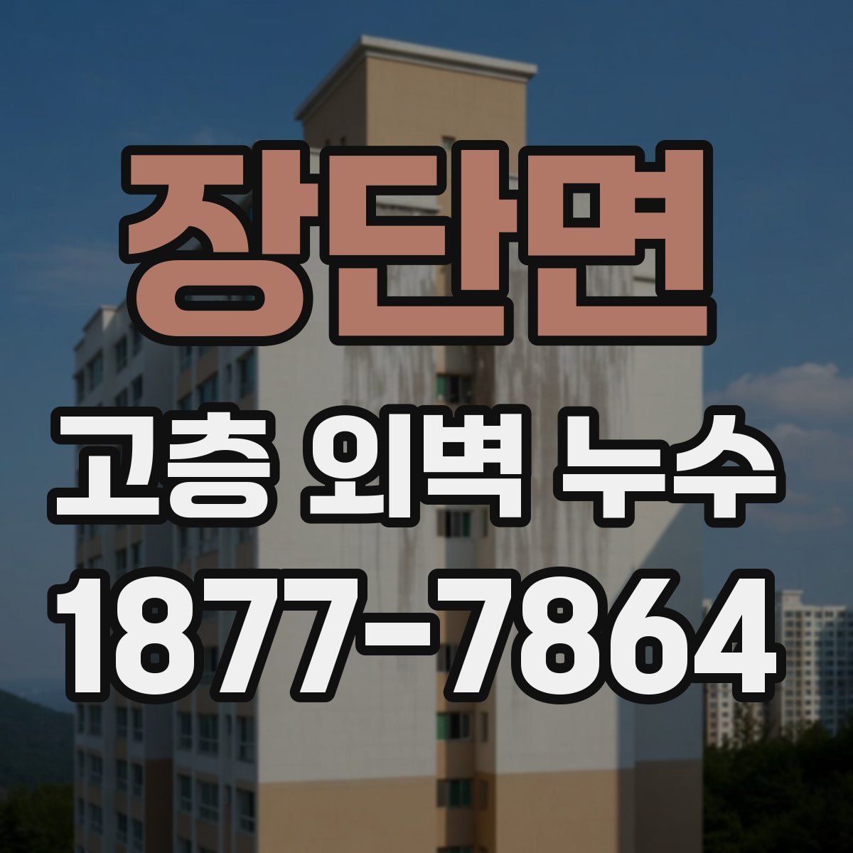 장단면 고층 외벽 누수
