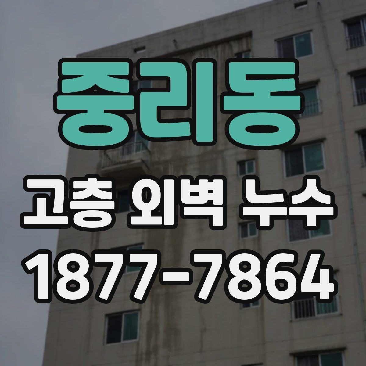 중리동 고층 외벽 누수 관리 소홀 시 발생할 수 있는 문제