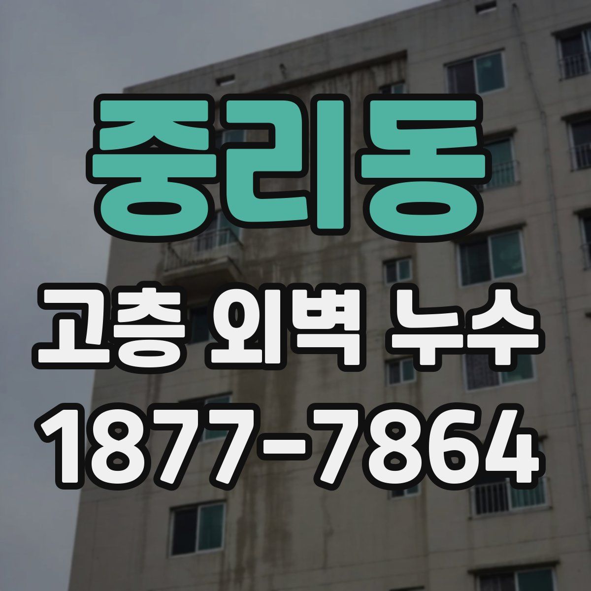 중리동 고층 외벽 누수