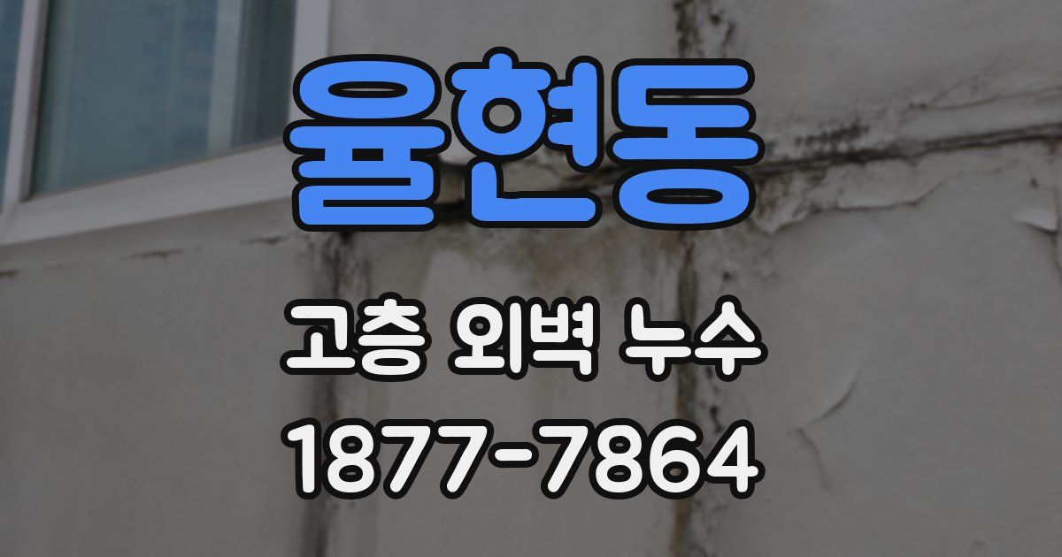 율현동 고층 외벽 누수