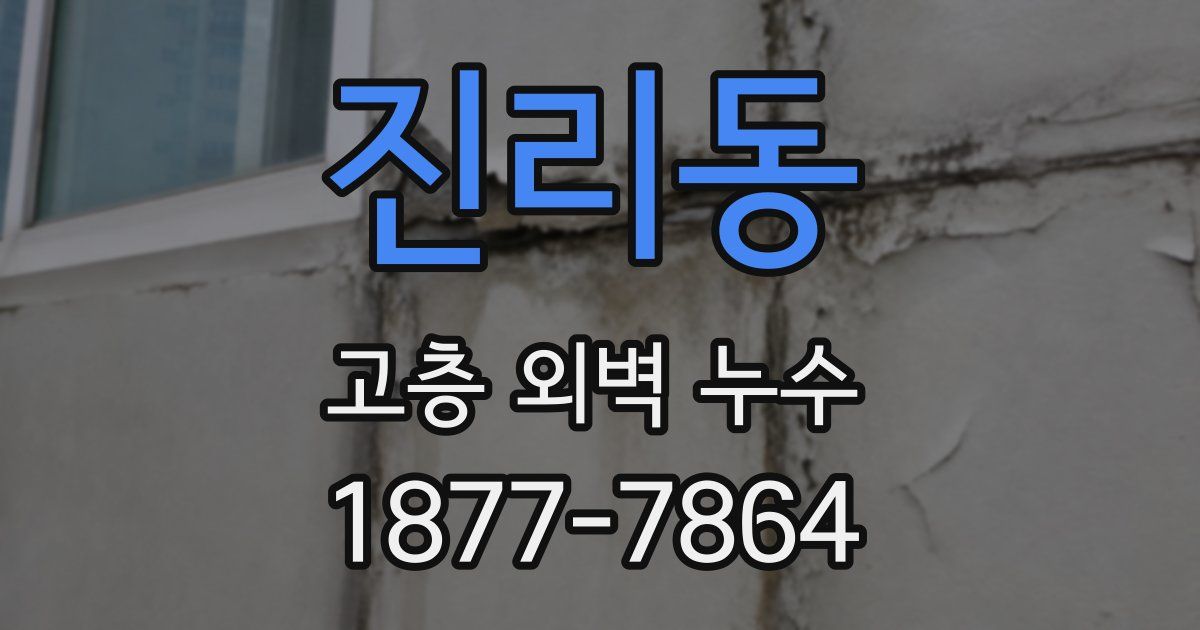 진리동 고층 외벽 누수