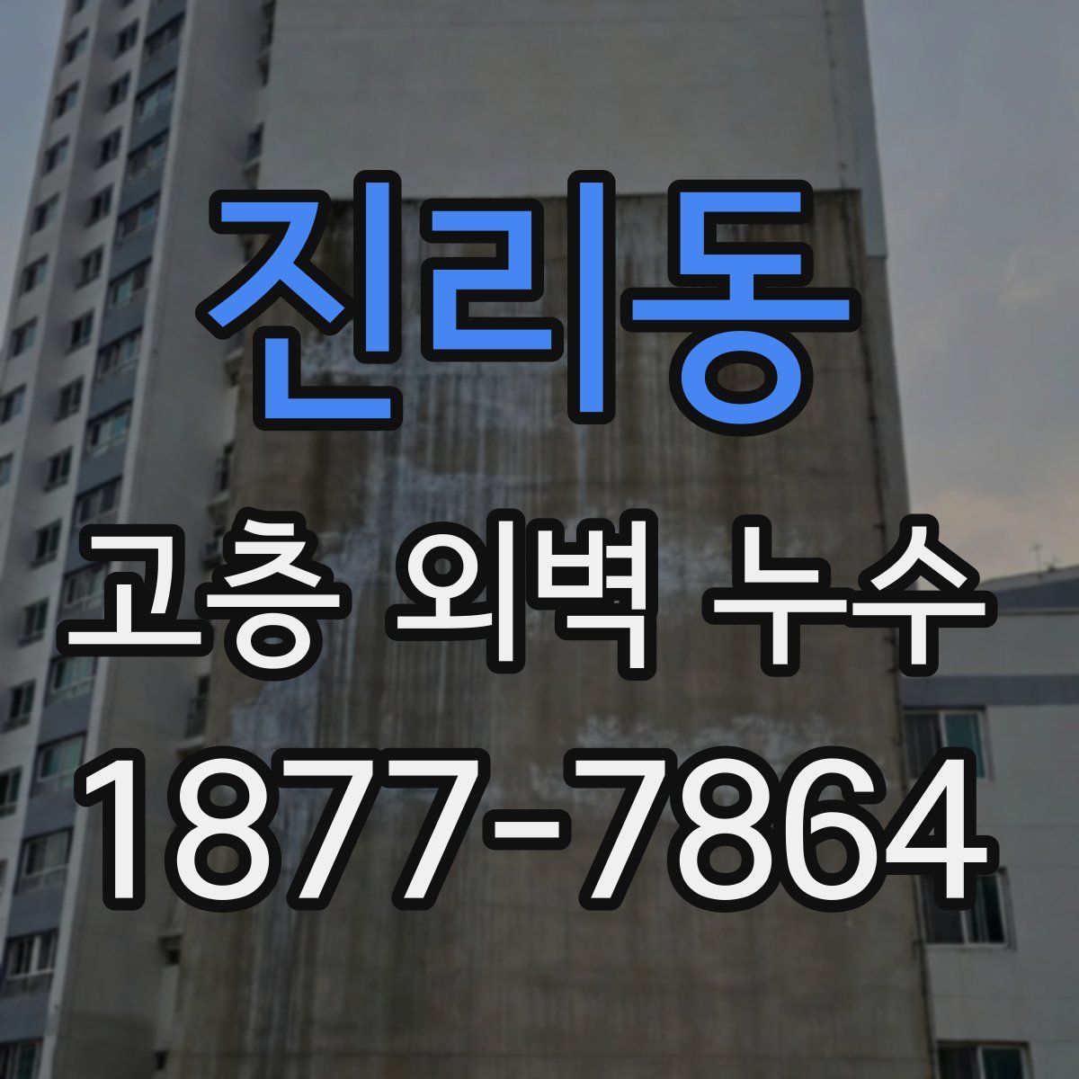 진리동 고층 외벽 누수