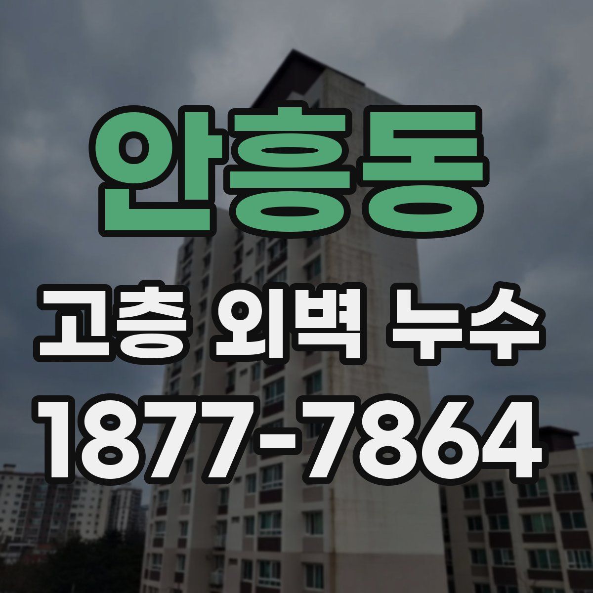 안흥동 고층 외벽 누수