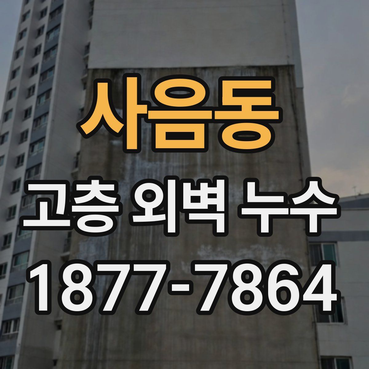 사음동 고층 외벽 누수