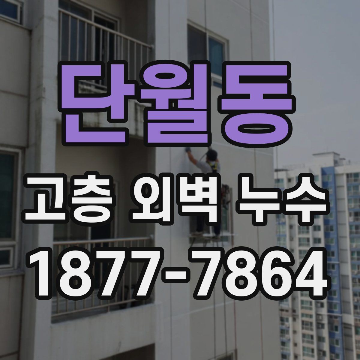 단월동 고층 외벽 누수 원인에 따라 달라지는 수리 방향