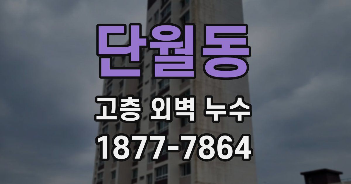 단월동 고층 외벽 누수