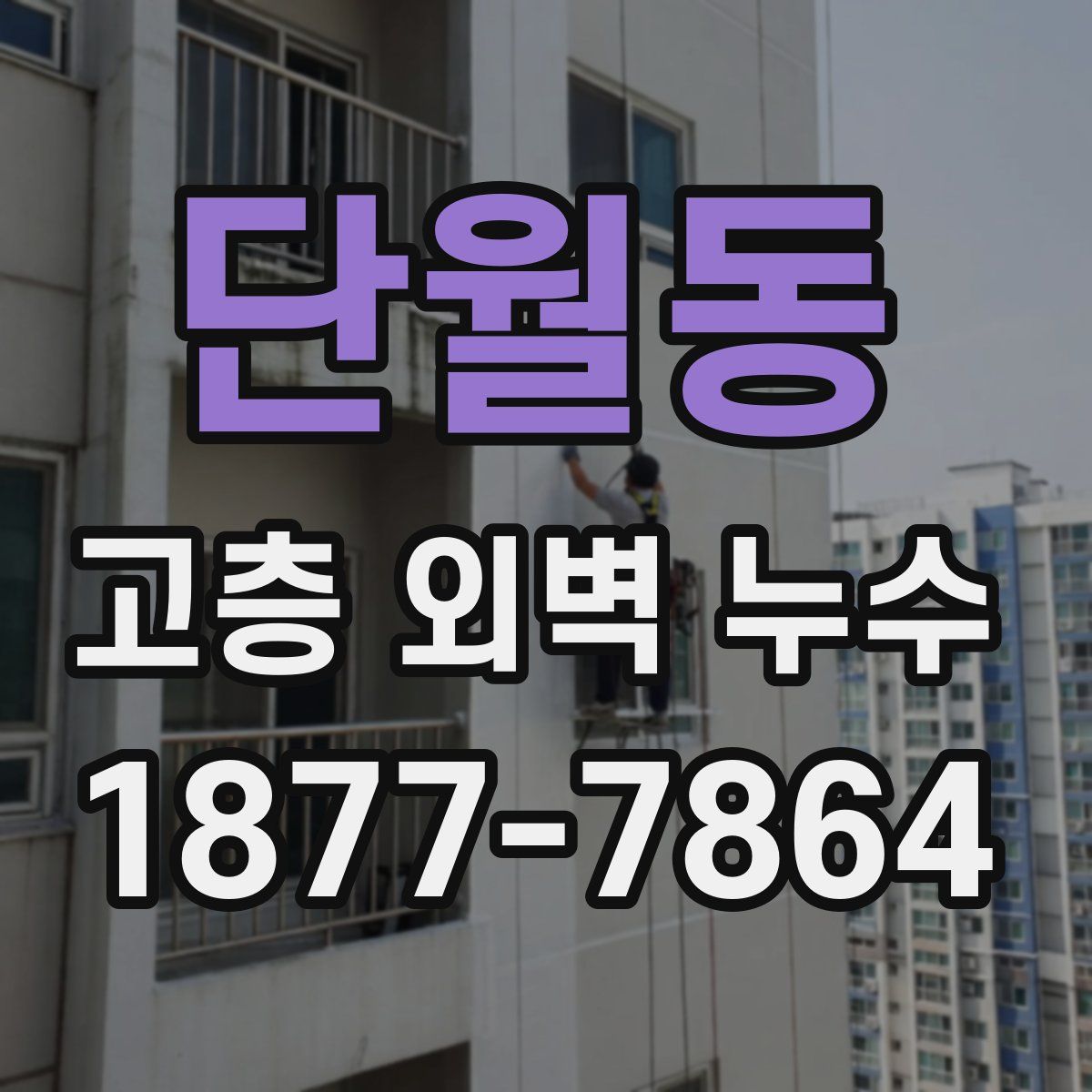 단월동 고층 외벽 누수