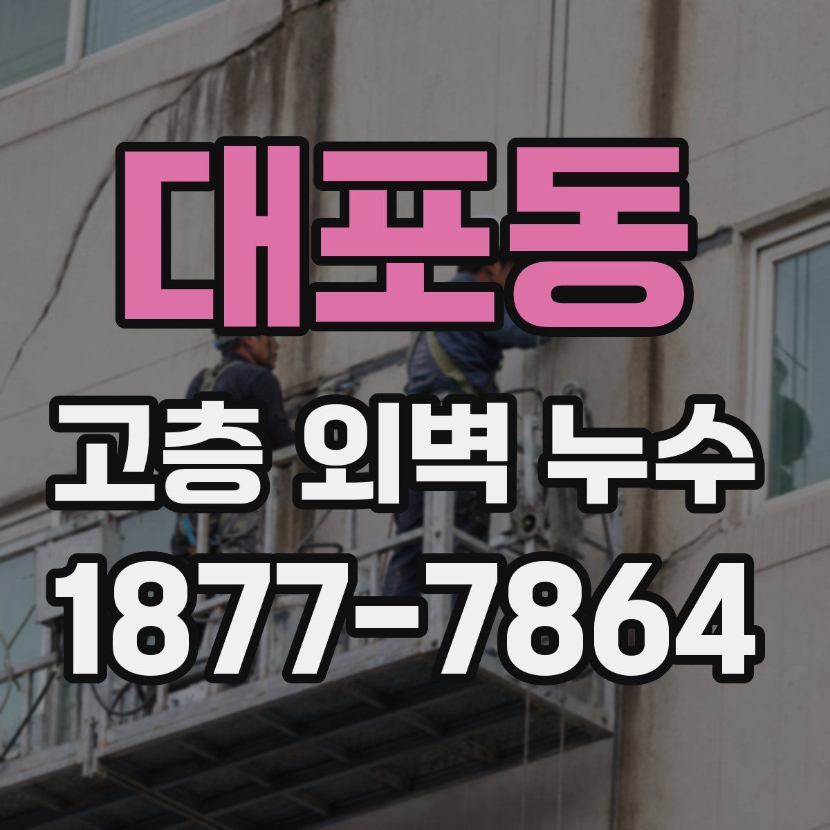 대포동 고층 외벽 누수
