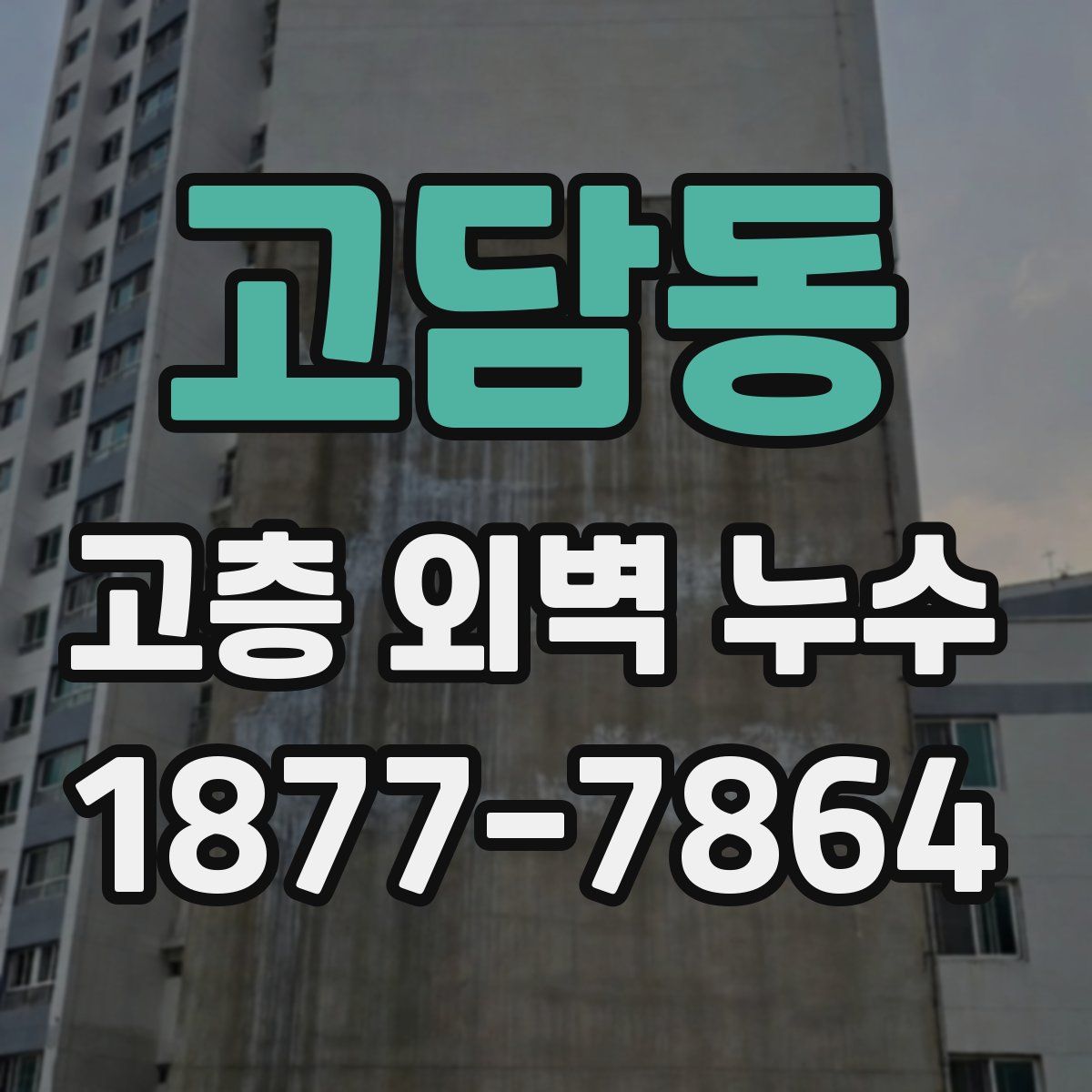 고담동 고층 외벽 누수