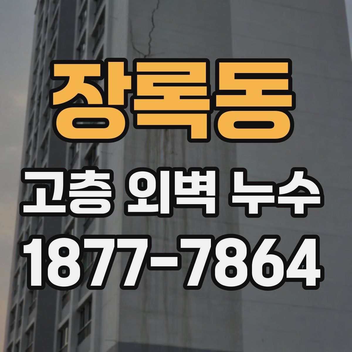장록동 고층 외벽 누수