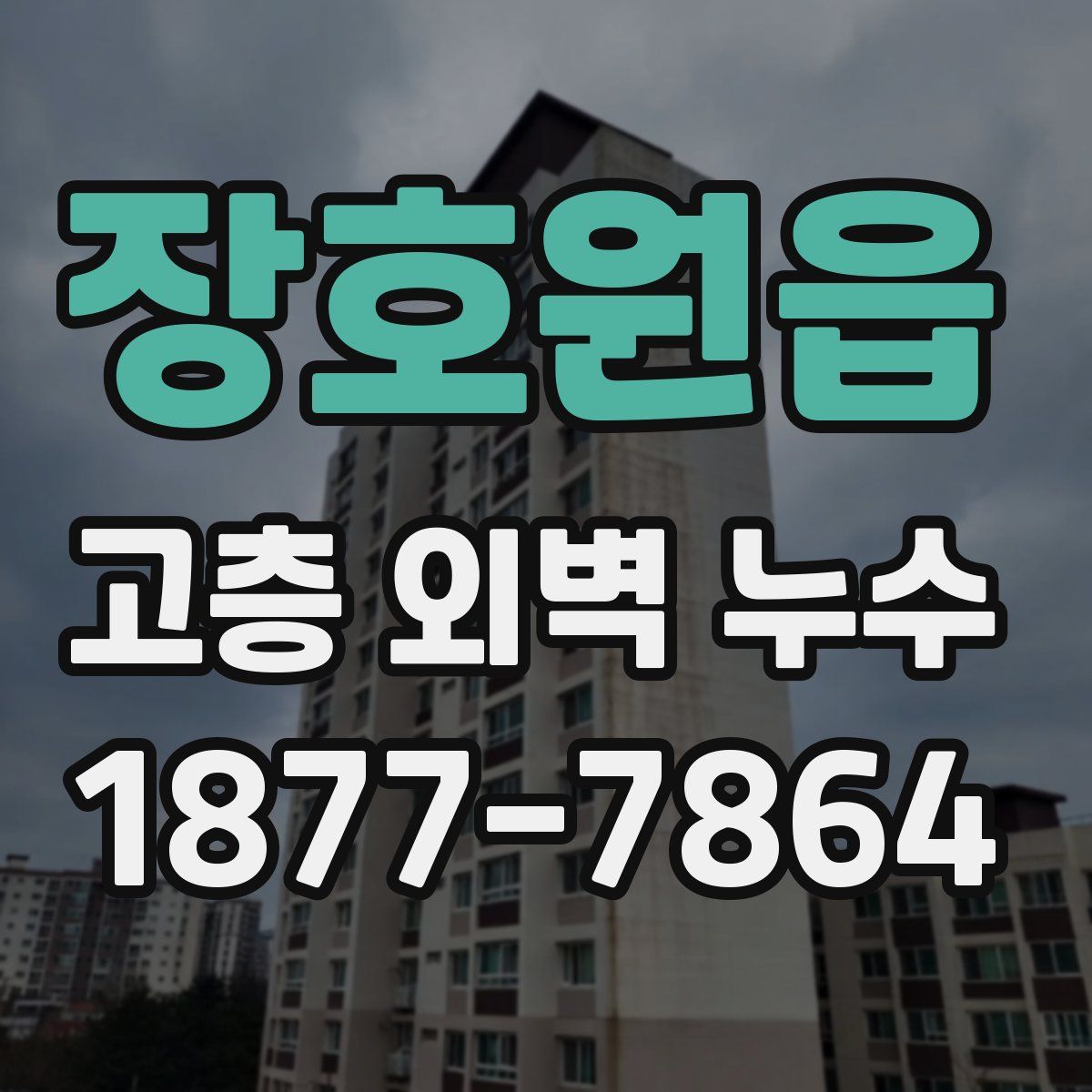 장호원읍 고층 외벽 누수