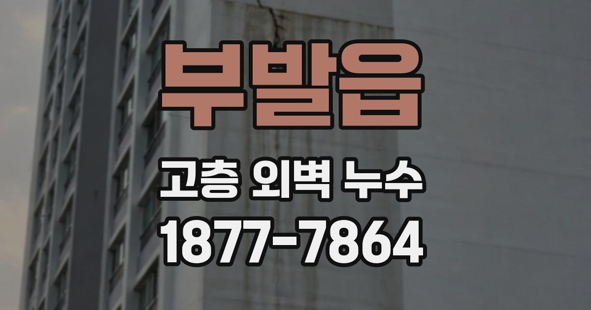 부발읍 고층 외벽 누수