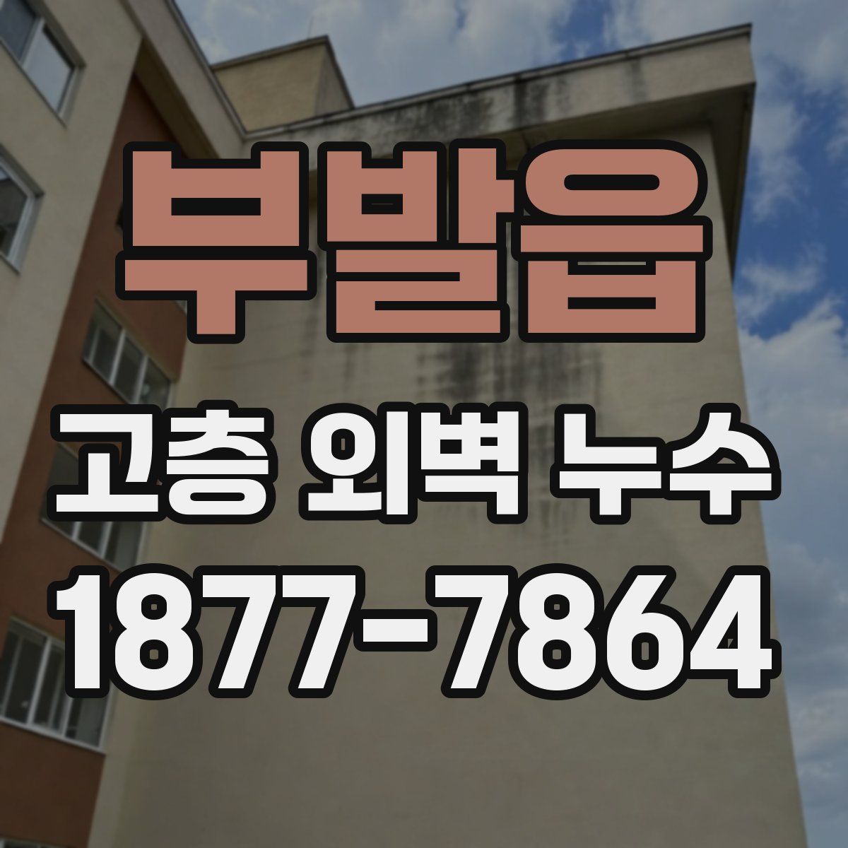 부발읍 고층 외벽 누수