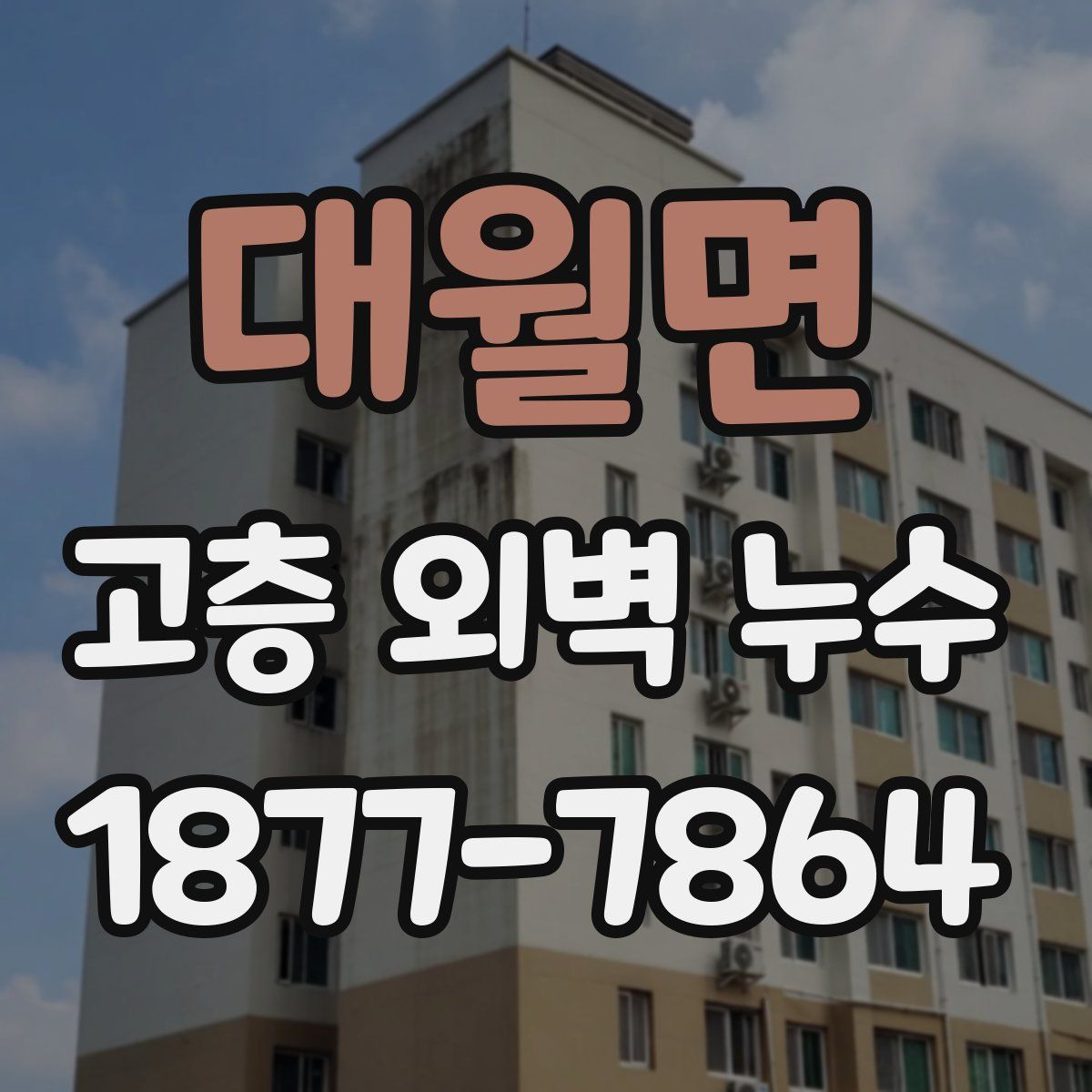 대월면 고층 외벽 누수