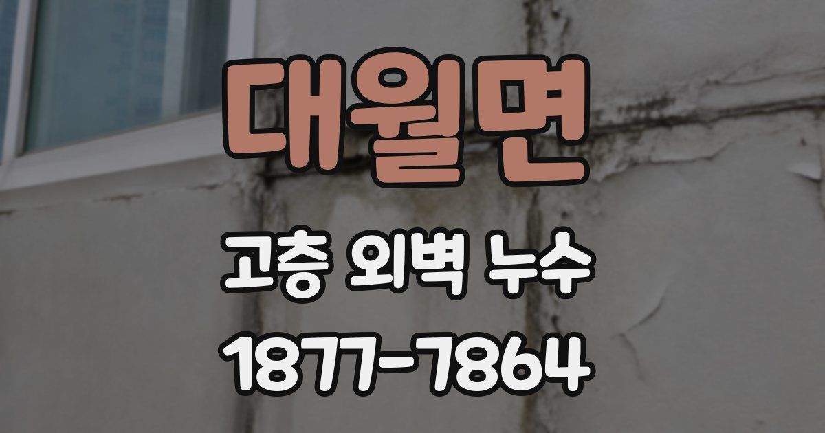 대월면 고층 외벽 누수
