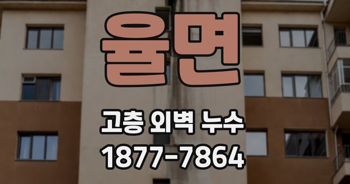 율면 고층 외벽 누수