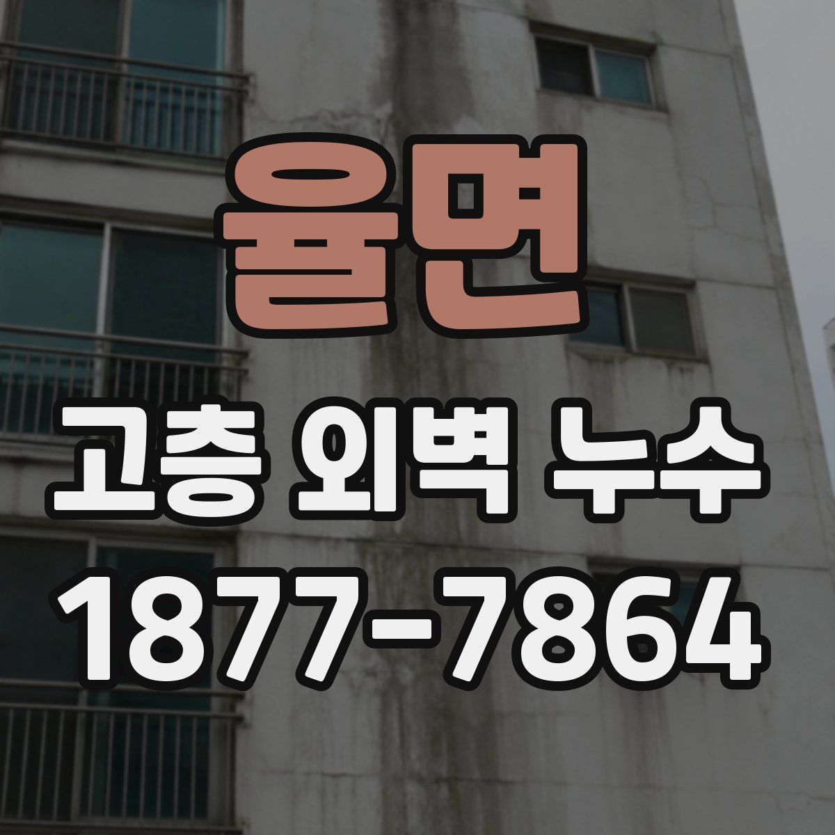 율면 고층 외벽 누수