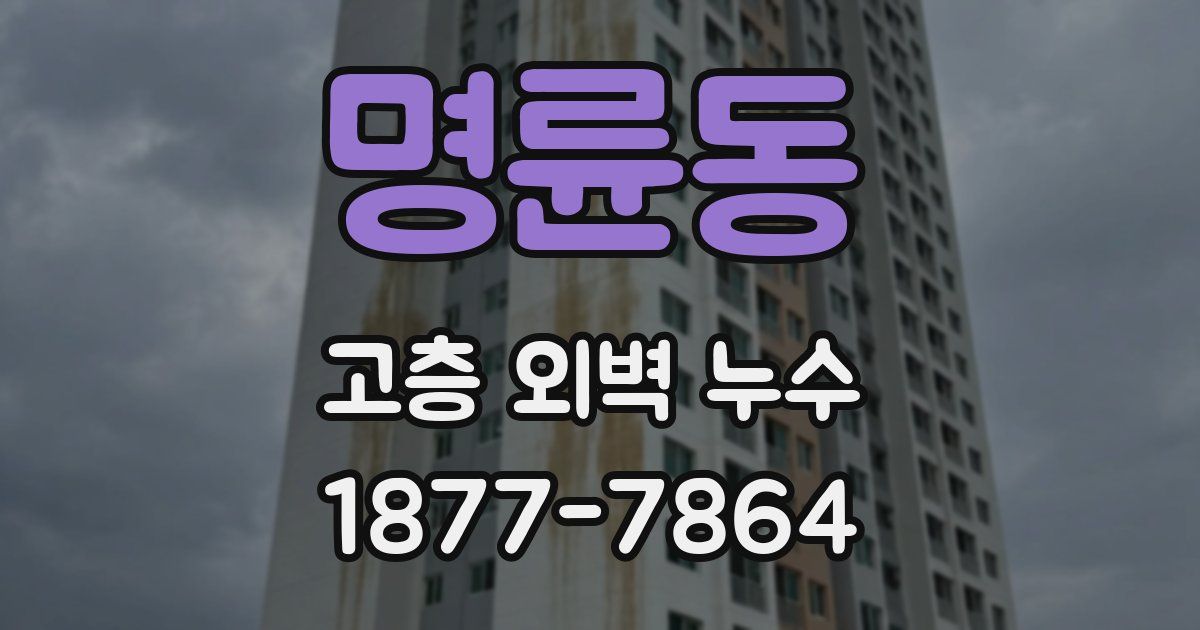명륜동 고층 외벽 누수