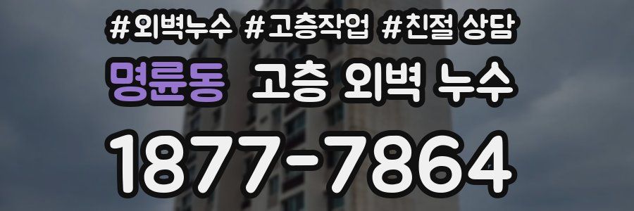 명륜동 고층 외벽 누수