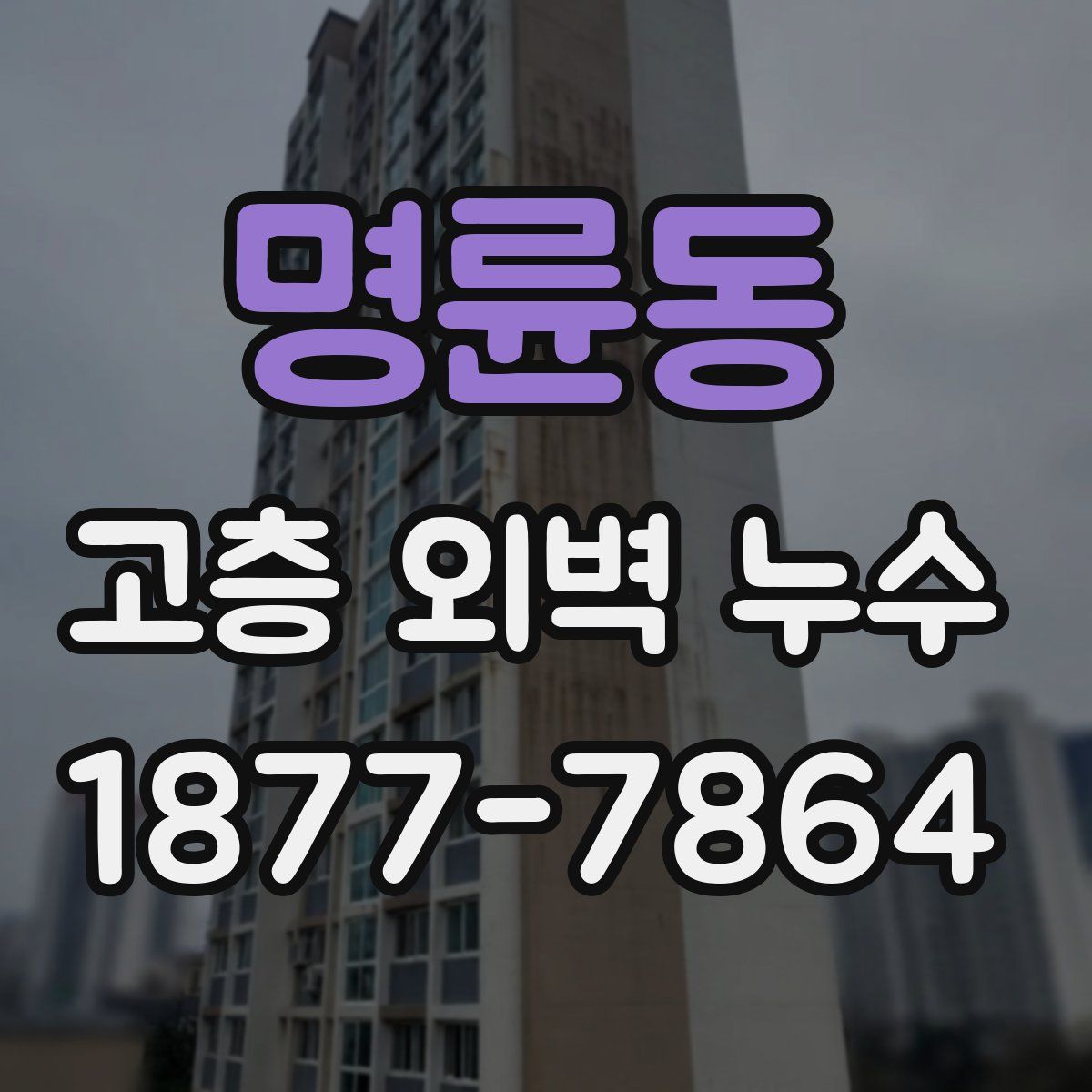 명륜동 고층 외벽 누수