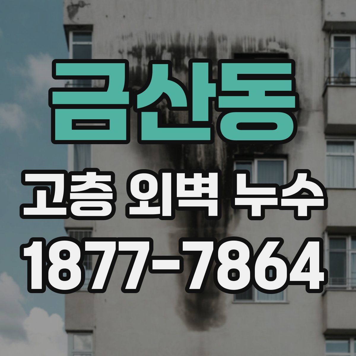금산동 고층 외벽 누수