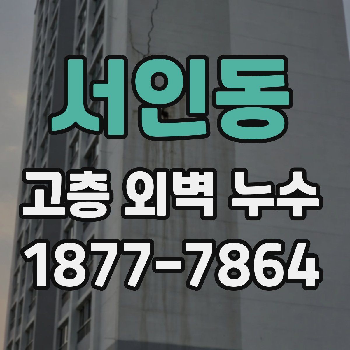 서인동 고층 외벽 누수 진단 장비는 어떻게 다를까