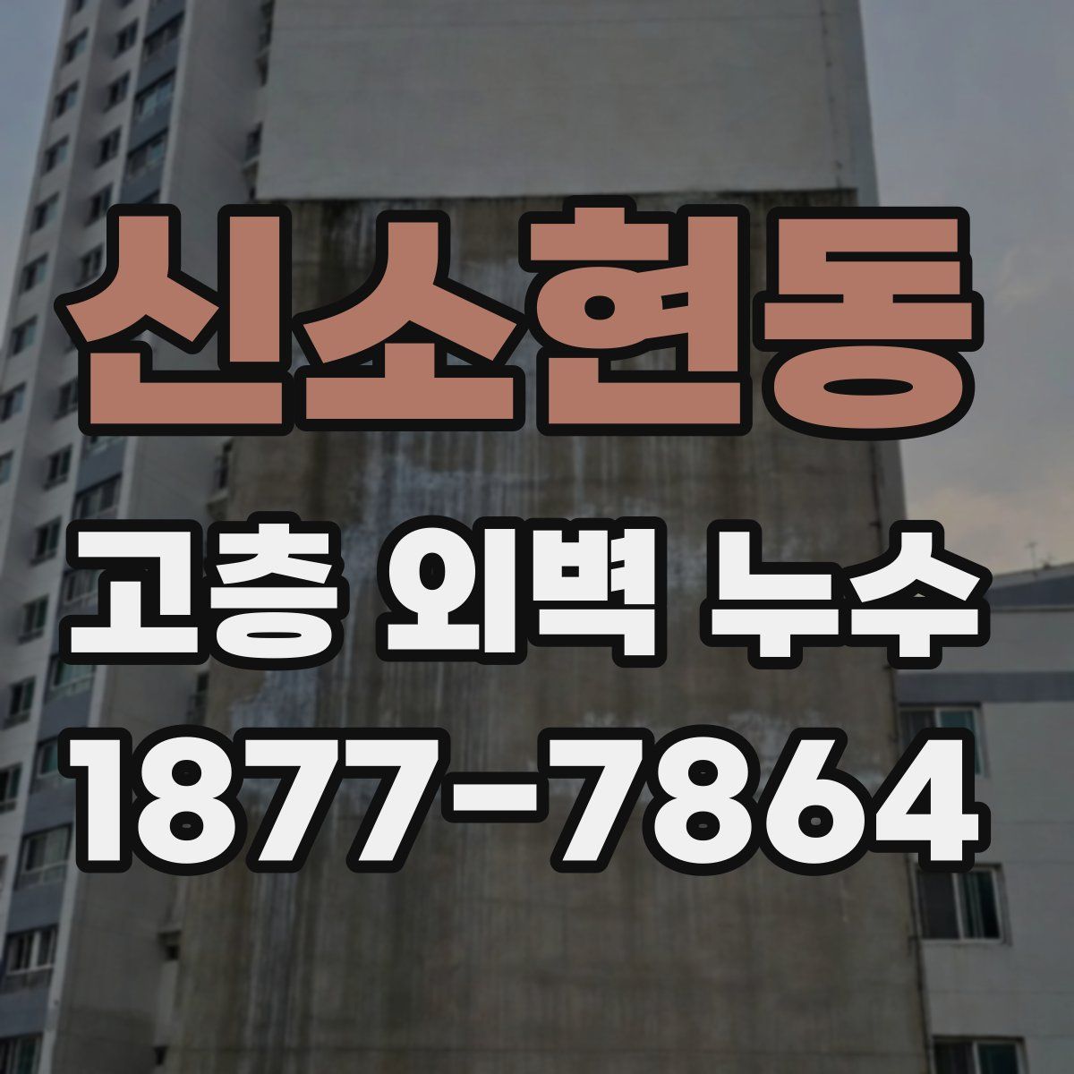 신소현동 고층 외벽 누수