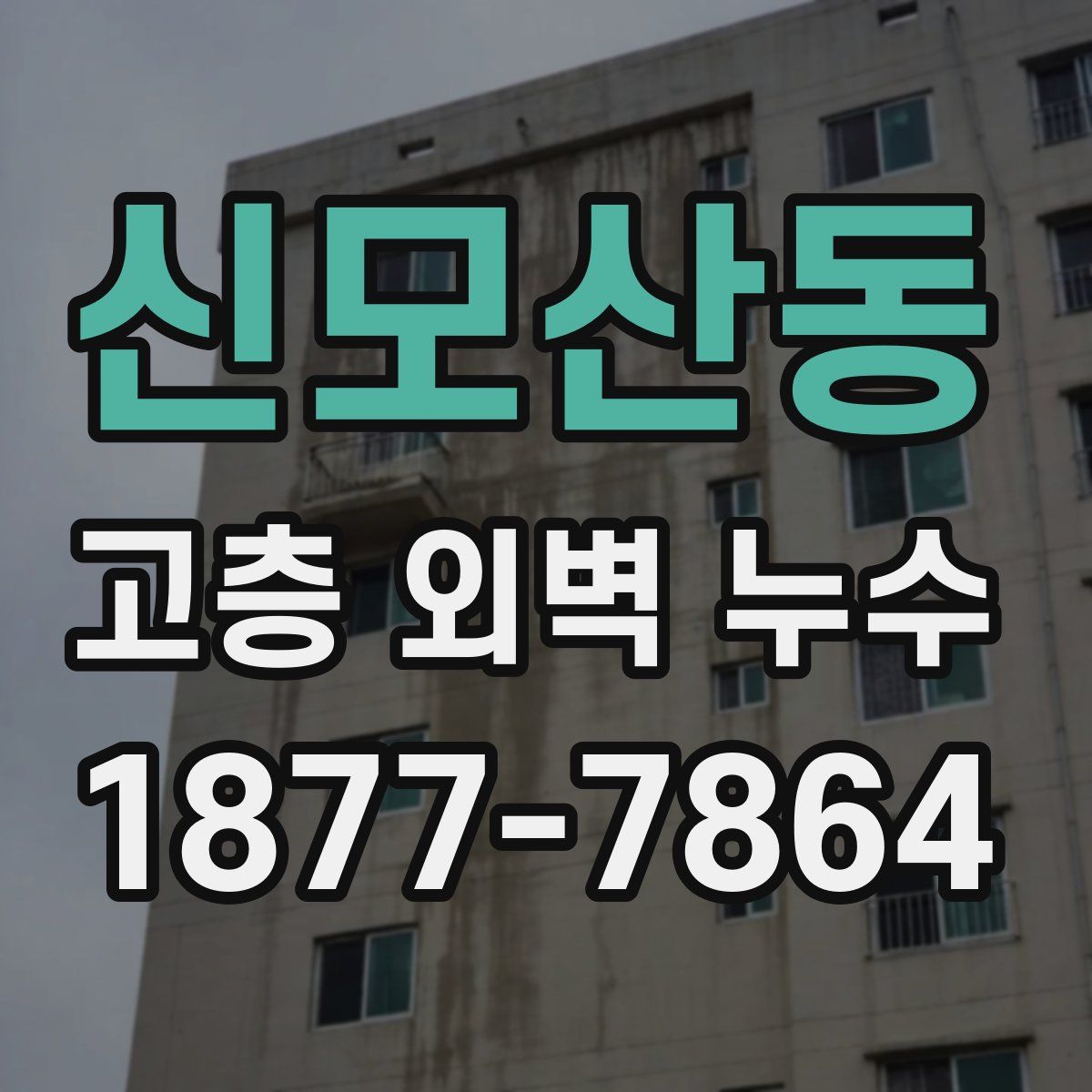 신모산동 고층 외벽 누수