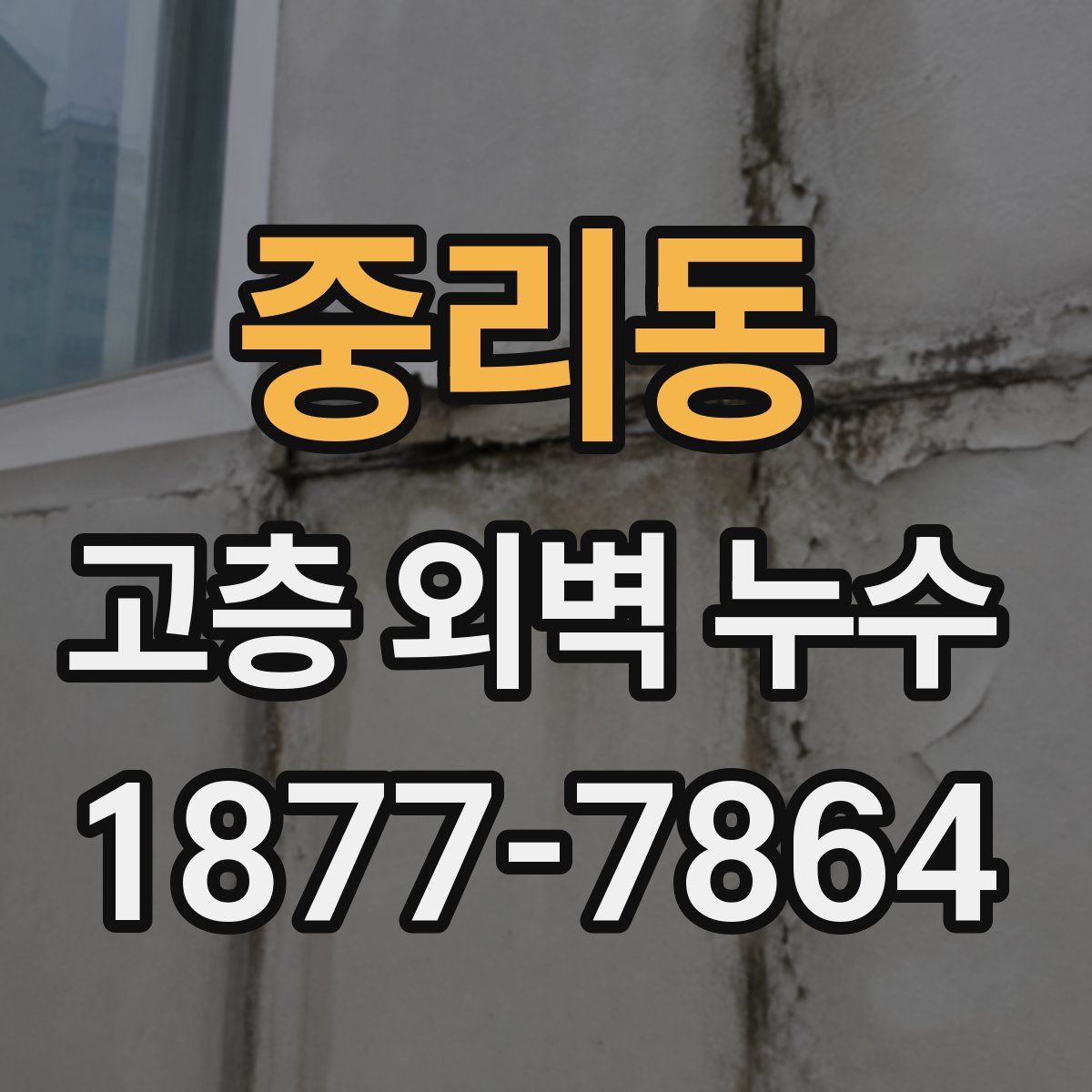 중리동 고층 외벽 누수