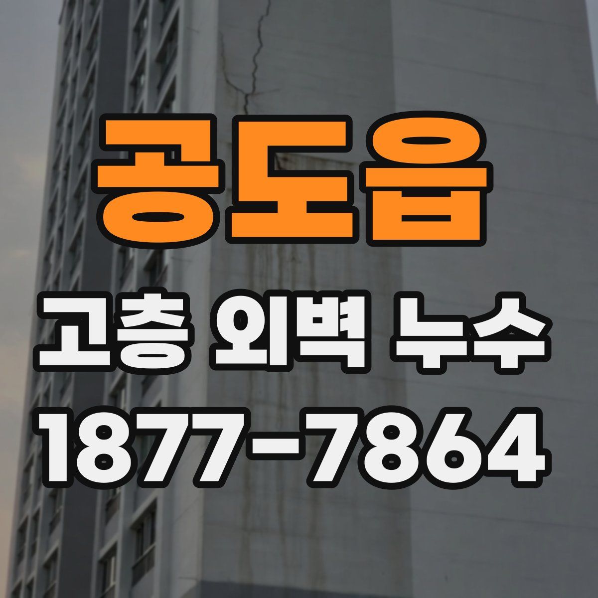 공도읍 고층 외벽 누수