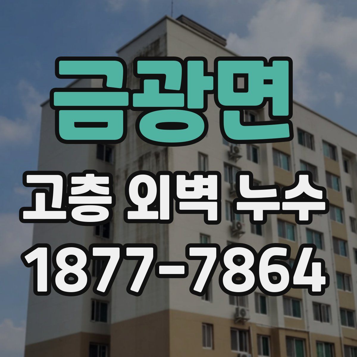 금광면 고층 외벽 누수