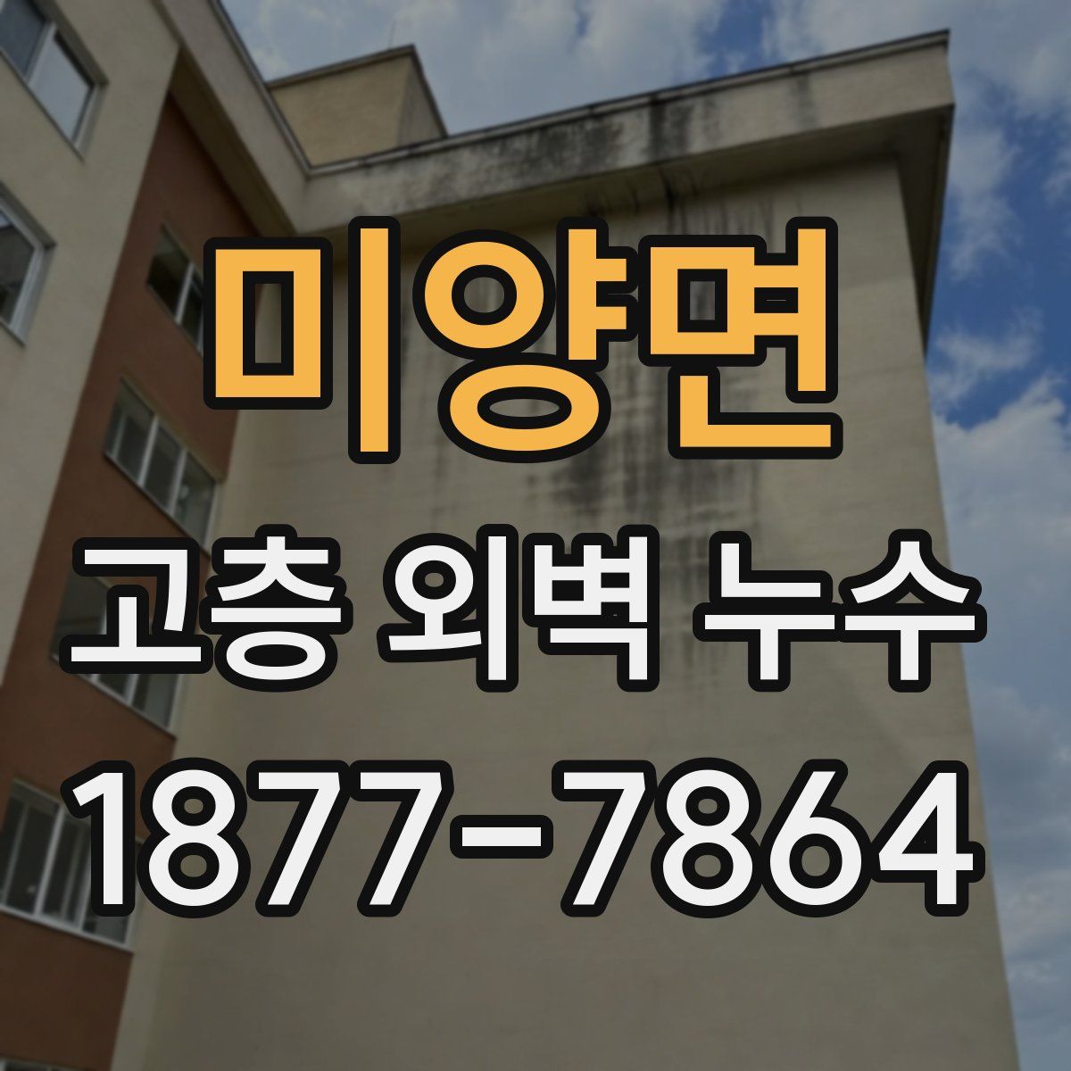 미양면 고층 외벽 누수