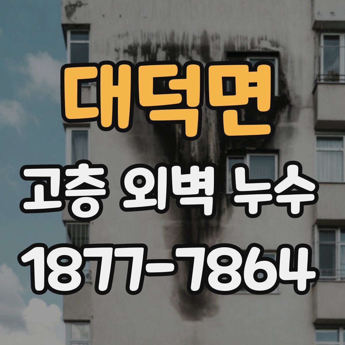 대덕면 고층 외벽 누수