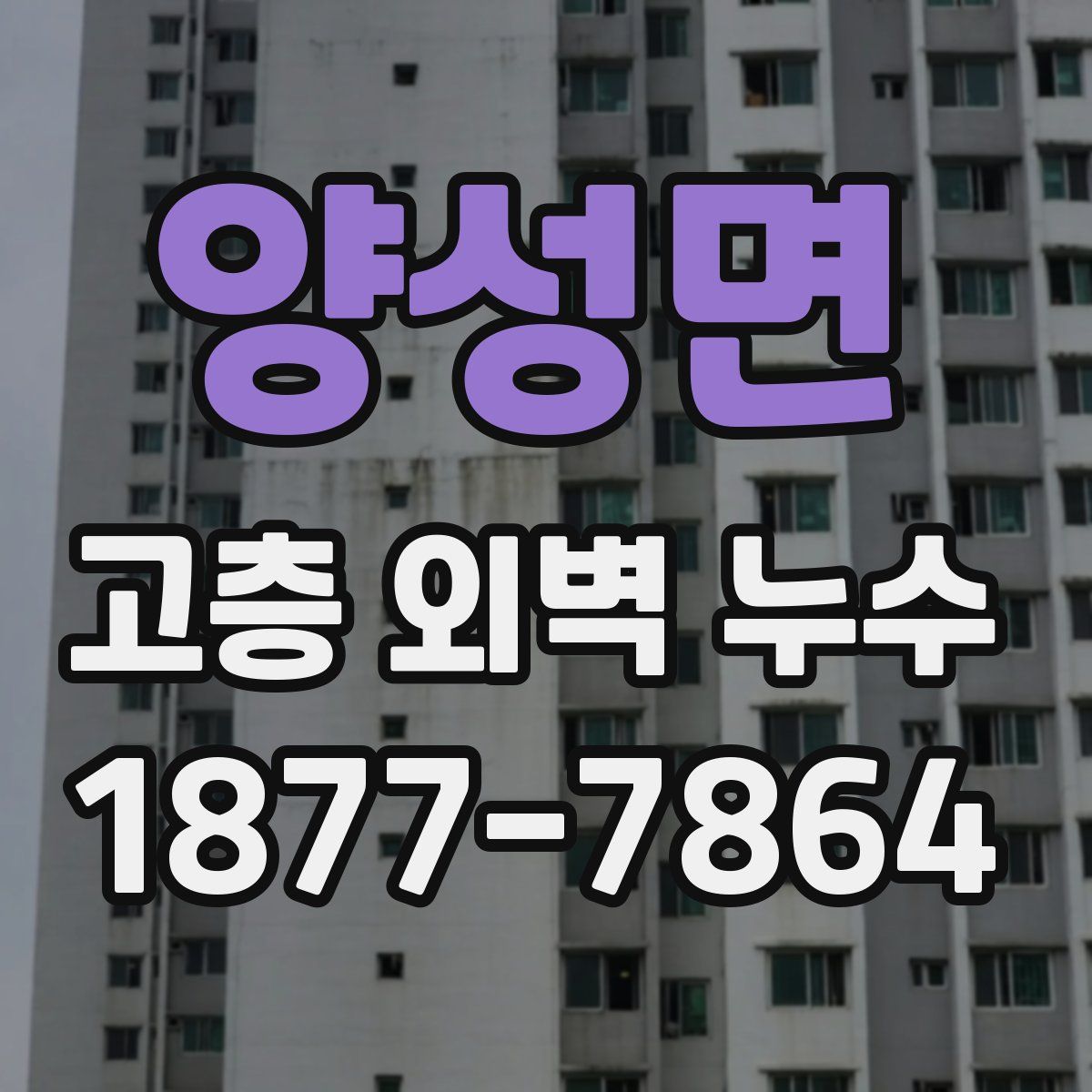 양성면 고층 외벽 누수
