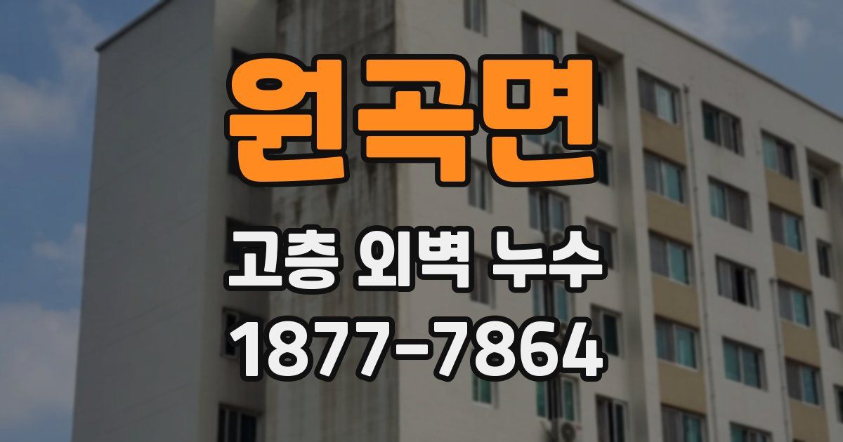 원곡면 고층 외벽 누수